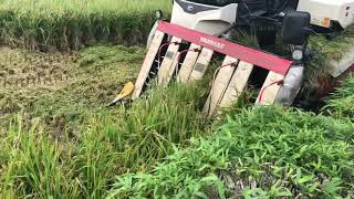 Yanmar aw7120 割稻機