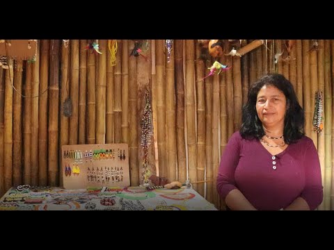 A História e a Importância do Artesanato para o Povo Guarani Mbya