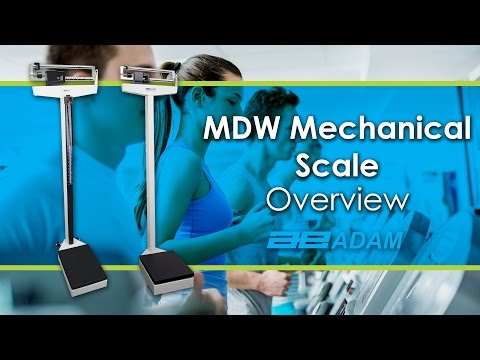 MDW Mechanical Physician Scale Overview