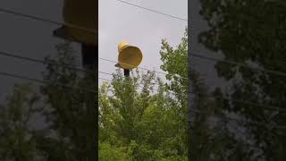 Download lagu Federal 500 siren test Lombard, IL #shorts #siren mp3 Download lagu Federal 500 siren test Lombard, IL #shorts #siren mp3