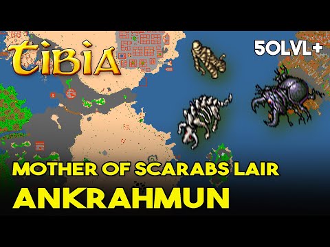 OP PLACE +50LVL - Tibia - Mother of Scarabs Lair Ankrahmun