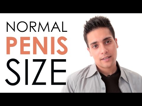 Raja jamu dan serangga untuk membeli potensi Cara meningkatkan penis Anda