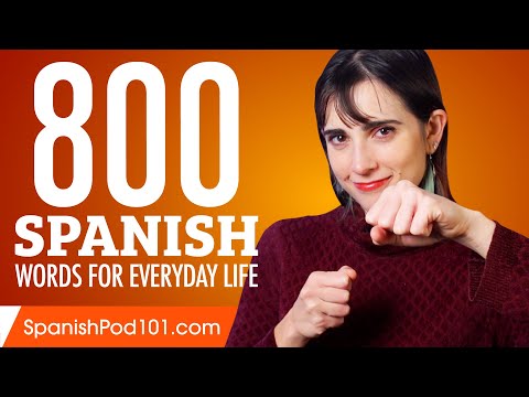 800 Spanish Words for Everyday Life - Basic Vocabulary #40