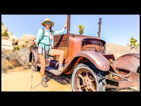 Joshua Tree Forgotten Relics of the Past