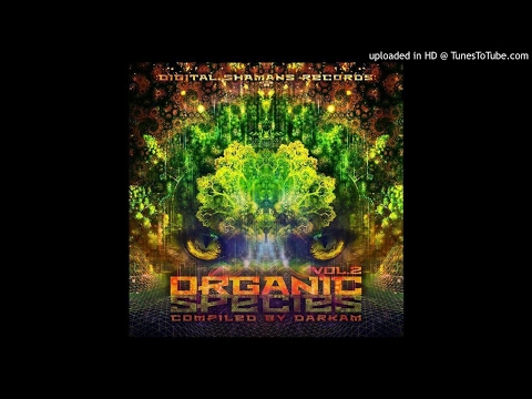 Slideॐ - Positive Drug Story (E.V.P. Master) - OUT NOW On Digital Shamans Records [HQ]