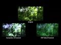 Effective Lumens - 5 lumen PoP Video vs 15 lumen ...