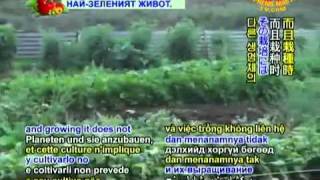 Shangri-La New Zealand's Veganic (Vegan-Organic) Gentle World Gardens!