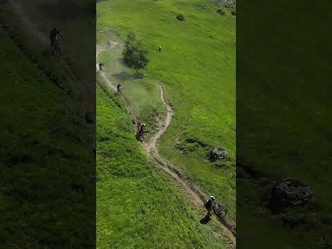 Mountain of Hell Les 2 ALpes 2023 #fun #les2alpes #mtb #bike #shorts