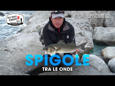 Fishing in BOLOGNESE: BEAMS IN ROUGH SEA » Sea BOLO Passion S6E2 #trabuccofishing #pescabolognese