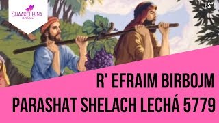 Parashá Shelach Lechá