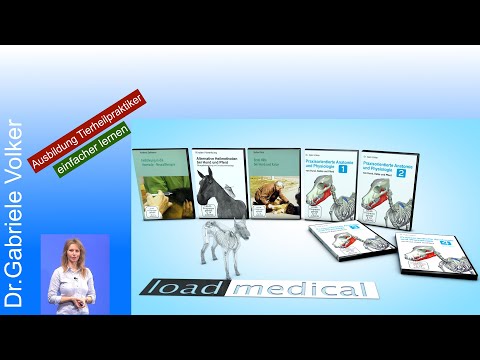 Tiermedizin Rückenmark - einfach und verständlich erklärt