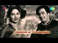 Alibabavum 40 Thirudargalum Chinnanjiru Chitte Song
