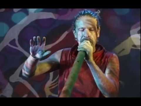 Wild Marmalade - Live Jam In Byron Bay