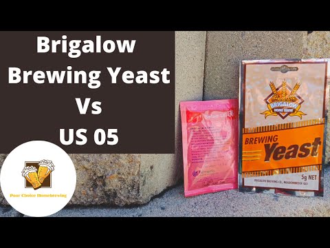 Brigalow "Brewing Yeast" VS US 05. Southern Start Smash