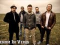 Venom in Veins - This is the End 