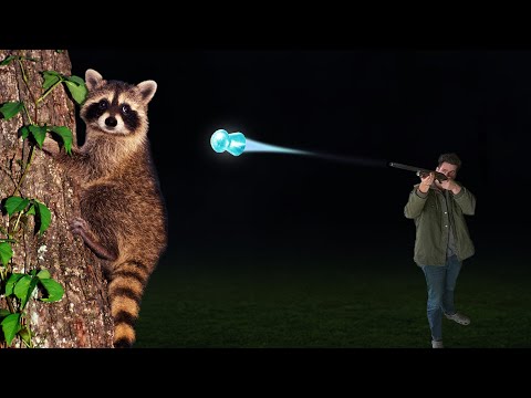 Jagd mit im Dunkeln leuchtenden Pellets!