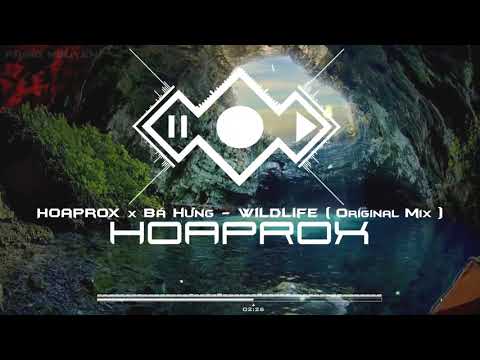 Hoaprox x Bá Hưng   WILDLIFE Original mix   Official Audio