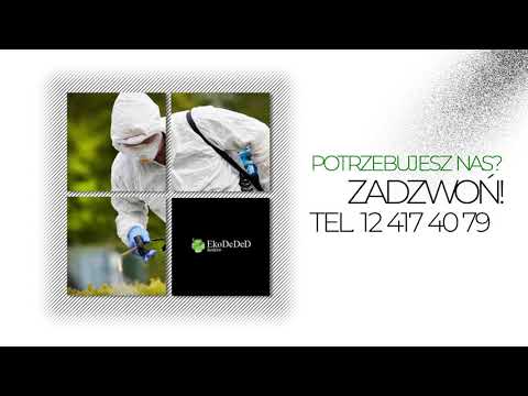 Zobacz filmy filmy