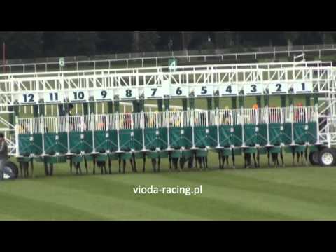 Gon. V (N. Janowa) - 30.06.2013 - Master Bars (Akbars - Mergissa)