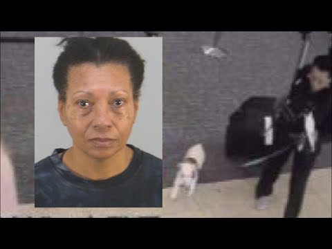Pictures show dog with owner before it was found dead in Orlando airport bathroom