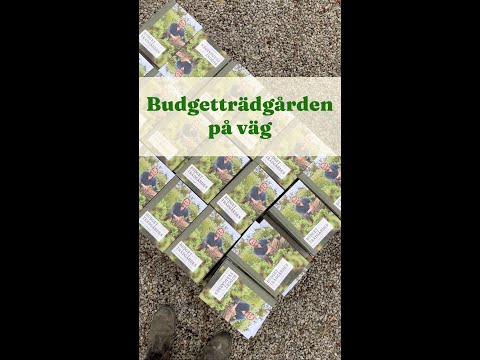 Budgetträdgården, på väg
