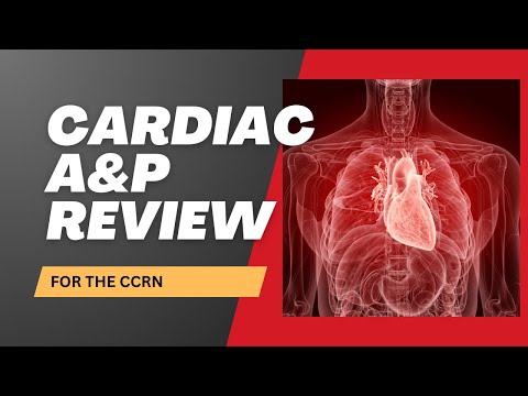 Heartbeat Unveiled: CCRN Review of Cardiac Anatomy & Physiology