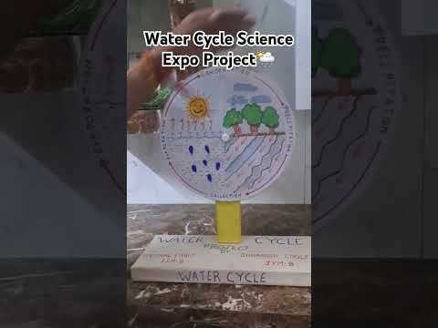 Water cycle #watercycle #scienceexpo #project #expo