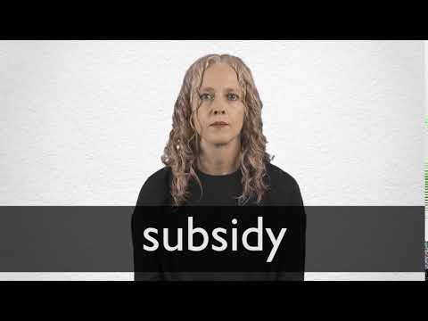 What does online subsidized mean