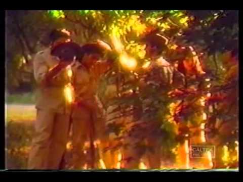 Leila Forouhar - لیلا سینه لرزون.mp4