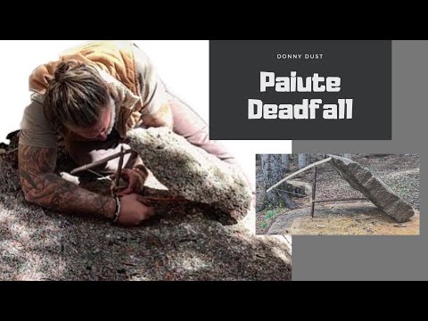 How to Make a Paiute Deadfall Trap