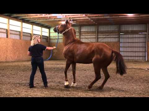 Evon & Maddie 05 19 15