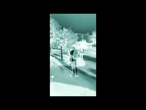 Fanfare and Procession