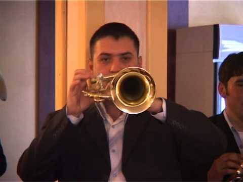 Orkestar Dragana Ignjica Radovanovo kolo