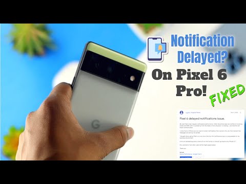 Pixel 6 Pro/6: Fix- Notifications Are Not Working! [Delayed]