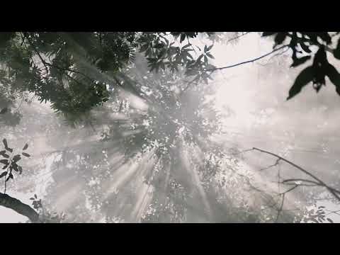 sinematik happy sweet17 beatrix laura