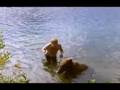 European Voice Over For Discovery