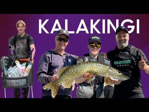 Koulusta unelmien työharjoitteluun - Kalakingi löytyi Vaasan Minimanista - Hauen ja ahvenen Kalastus