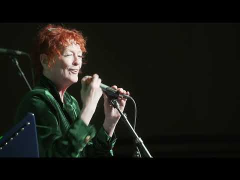 Scantily Plaid   video compilation   v1   4k 1