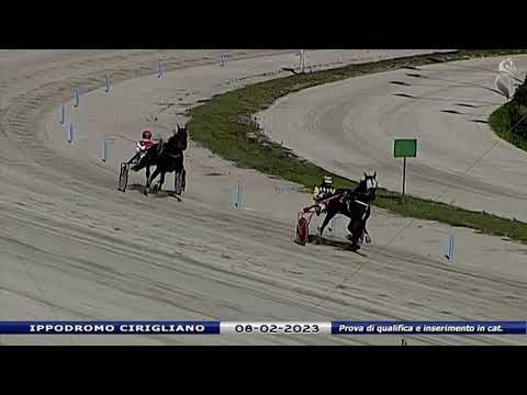 Aversa trotto 8 Febbraio 2023 - Prova di qualifica e inserimento in categoria