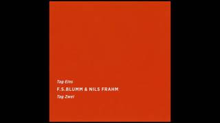 F.S. Blumm & Nils Frahm - Valentine My Funny