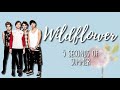 5 Seconds of Summer Wildflower LYRIC