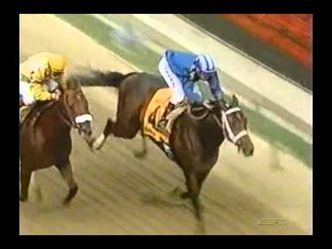 2006 Pimlico Special - Invasor