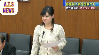 浪花のエリカ様、「“立憲はヤジ部隊が存在”」を否定「ヤジないと居眠り議員爆増やで」