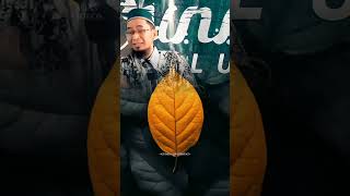 Download lagu #sermon #ustadzadihidayat #preaching #motivation #islamicpreaching #studysession #ustadadihidayat mp3 Download lagu #sermon #ustadzadihidayat #preaching #motivation #islamicpreaching #studysession #ustadadihidayat mp3