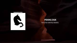 Peking Duk - Wasted (Motez Remix)
