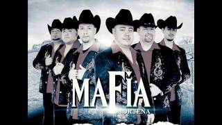 Tal vez Mañana - Mafia Norteña (Estudio 2013) @AztecaRecords