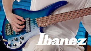 Video thumbnail for Djent Bass / Ibanez SR375E-SPB / Tone Test / Metal / Doom by Serga Kasinets
