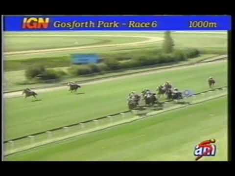 Shoe Shac Computaform Sprint