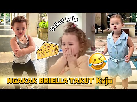FUNNY BEHAVIOR OF BRIELLA BEING AFRAID OF CHEESE | FUNNY 🤣😂