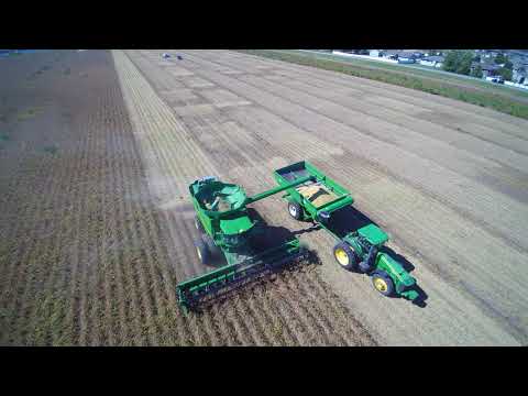 soybean harvest 2017